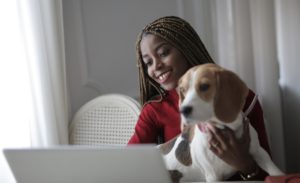 A person looking at a laptop with a Beagle on her lap as if discussing with an online behaviourist about the dog. 