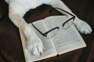 Dog reading a book of reviews