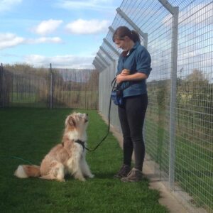 Photo of dog trainer Naomi training an anxious kennel dog to feel more confident