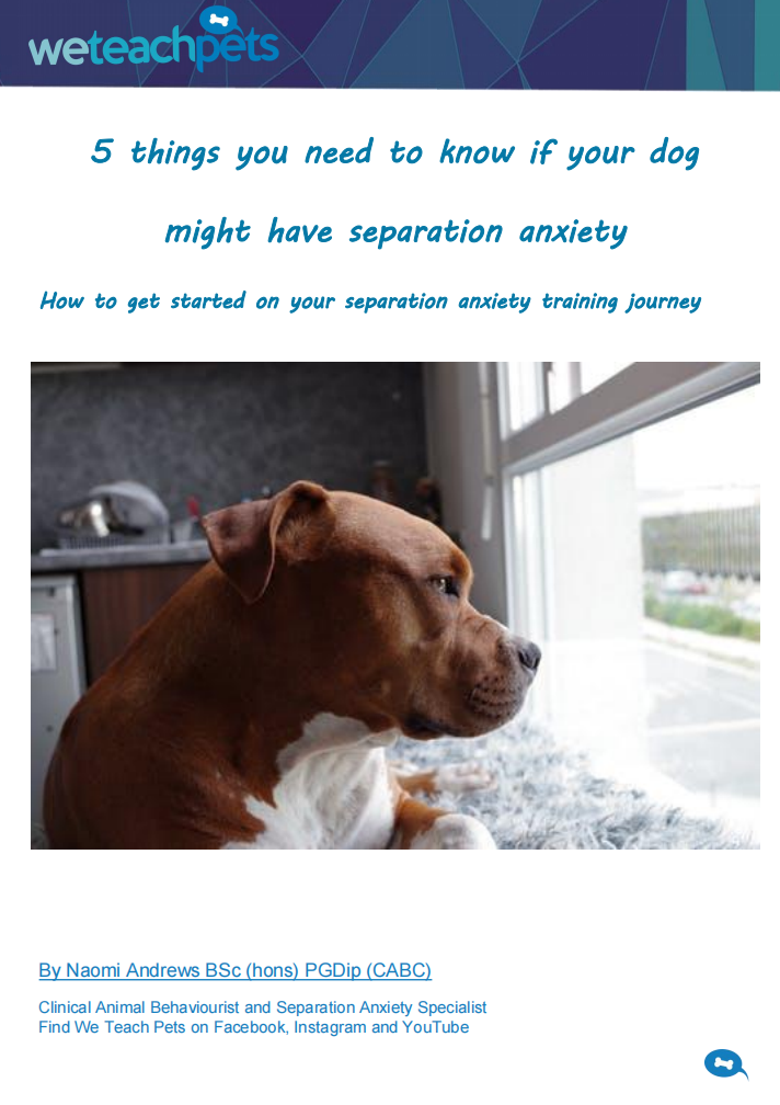 Free separation anxiety training guide screenshot