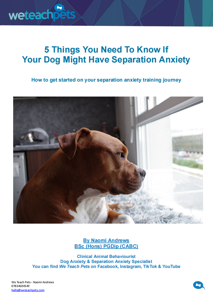Separation anxiety training guide